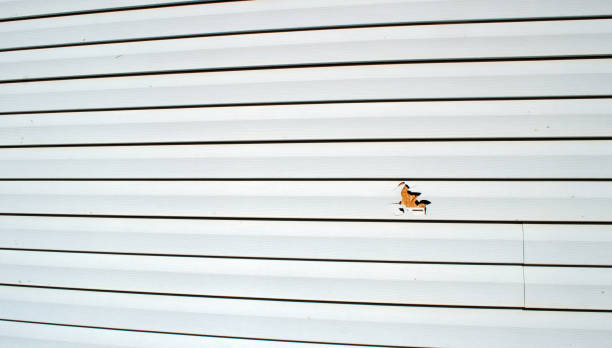 Best Custom Trim and Detailing for Siding  in Rowland, NC