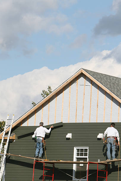 Best Custom Siding Design  in Rowland, NC