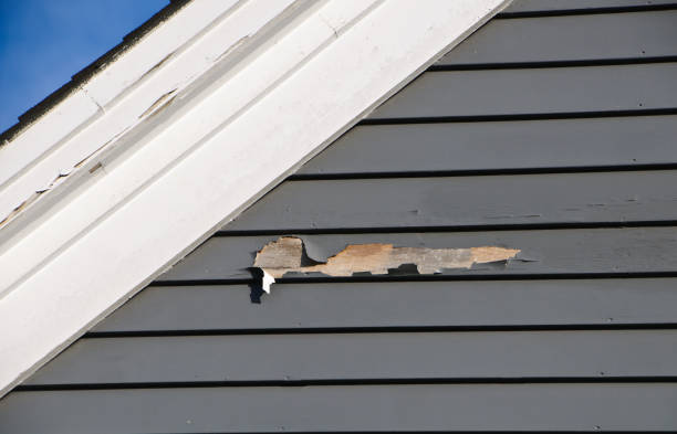 Best Brick Veneer Siding  in Rowland, NC
